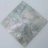 Onderzetter Abalone schelp