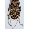 Ongeprepareerde Acrocinus Longimanus (Harlekijnboktor)