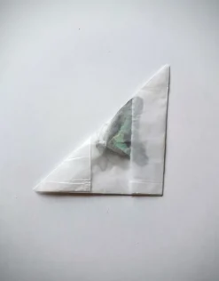 Ongeprepareerde Graphium Sarpedon