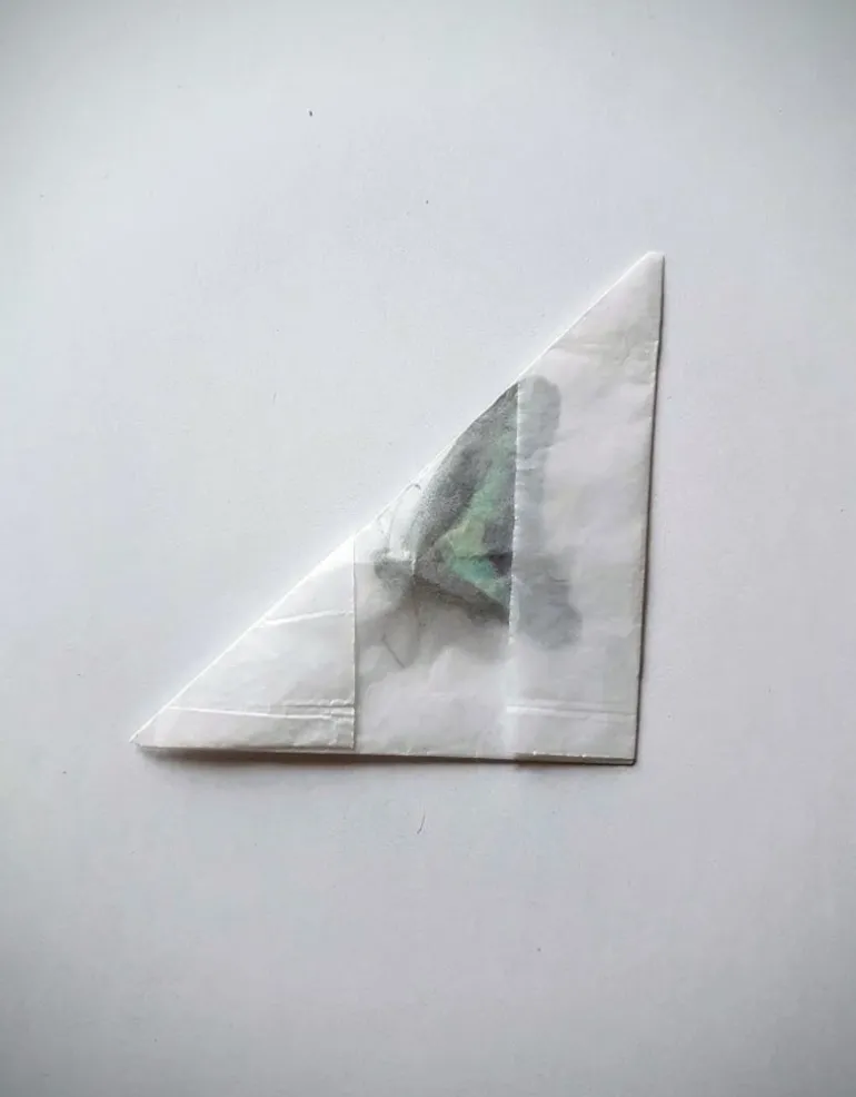 Ongeprepareerde Graphium Sarpedon