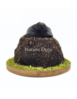 Opgezette mol in grond (bovenlichaam zichtbaar) 11 x 11 x 9 cm