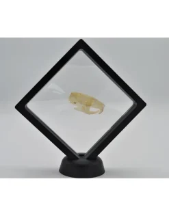 Plastic folie lijst met voet 11 x 11cm