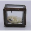 Rat Schedel in box