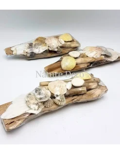 Schelpen op hout