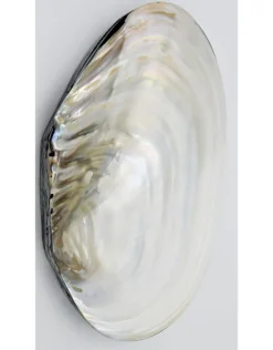 Schelpendoos XXL