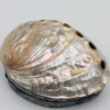 Schelpendoosje Abalone
