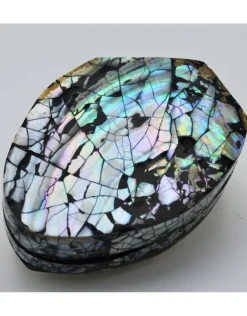 Schelpendoosje Abalone
