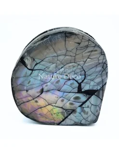 Schelpendoosje bruin/paars