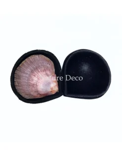 Schelpendoosje bruin/paars