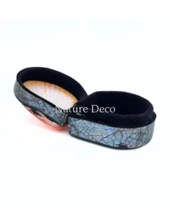 Schelpendoosje donkerroze