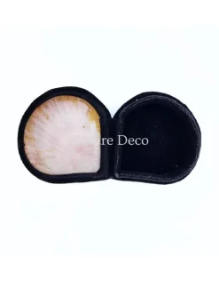 Schelpendoosje donkerroze