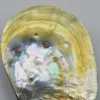 Schelpendoosje parelmoer/geel