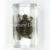 Schildpad in hars 7 x 4 x 2 cm