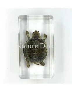Schildpad in hars 7 x 4 x 2 cm