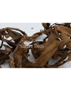 Schors-hout Gedroogde decoratie #5