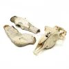 Set diverse dierenbotten #8