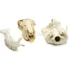 Set diverse dierenbotten #12