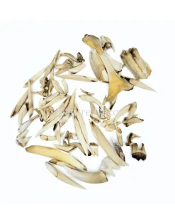 Set diverse dierentanden #2, 75 gram