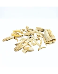Set diverse dierentanden #4, 95 gram