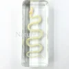 Slangenskelet in hars middel 11 x 4 x 2,5cm