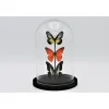 Stolp met 3 vlinders 21 x 14cm
