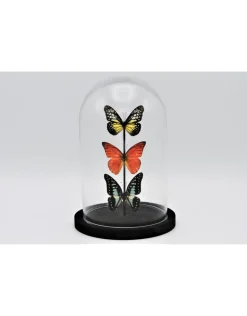 Stolp met 3 vlinders 21 x 14cm