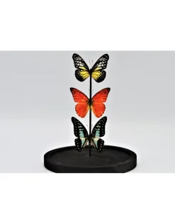 Stolp met 3 vlinders 21 x 14cm