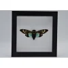 Toseana Splendida in luxe 3D lijst 17 x 17cm