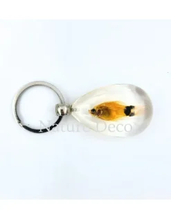 Vis sleutelhanger #1