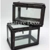 Vitrine box zwart small