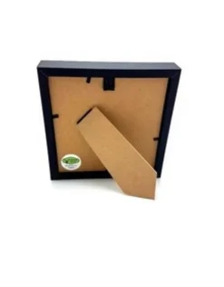 Vleermuis hangend in luxe 3D lijst 12 x 12 x 3,3 cm