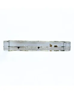 Vlinder levenscyclus in hars #3, 13,5 x 6 x 2 cm