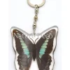 Vlinder sleutelhanger #2 (Graphium Sarpedon)