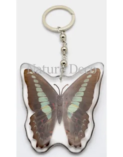 Vlinder sleutelhanger #2 (Graphium Sarpedon)