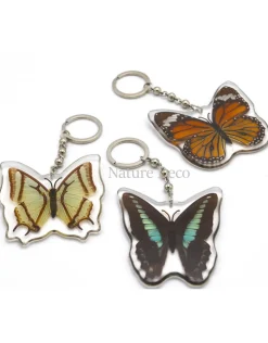 Vlinder sleutelhanger #2 (Graphium Sarpedon)