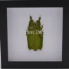 Wandelend blad in luxe 3D lijst 17 x 17cm