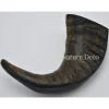 Waterbuffel hoorn gepolijst 15-22 cm
