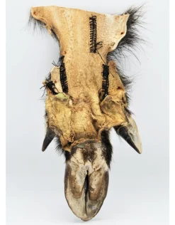(Wild) zwijnen poot(Wild) zwijnen poot